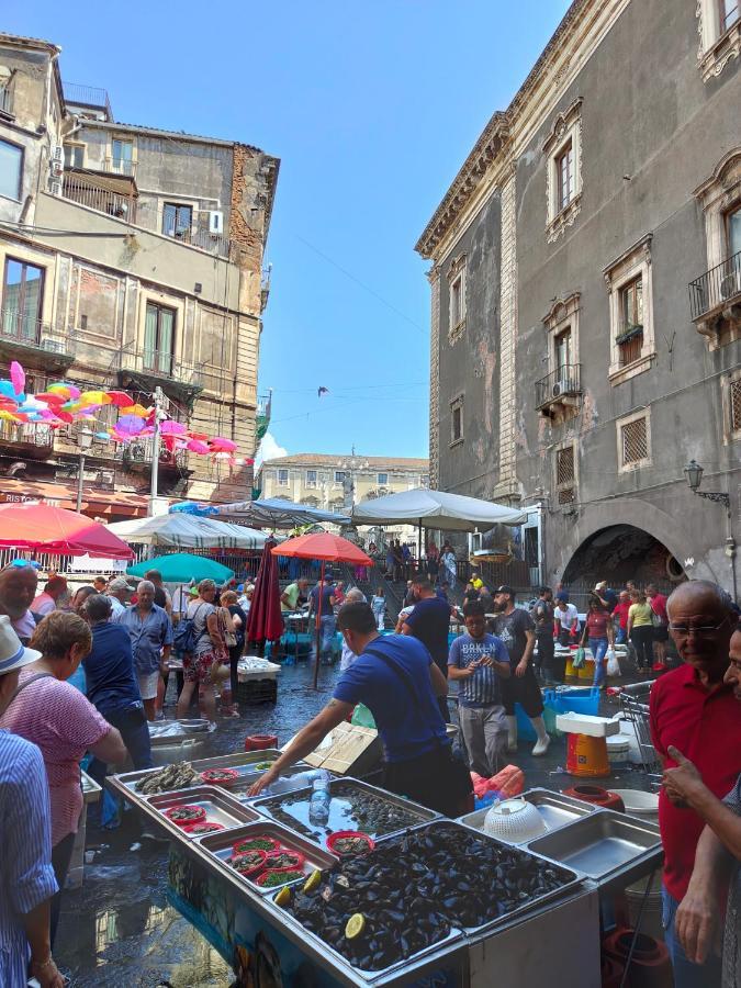 La Mansarda Di Ninni Catane